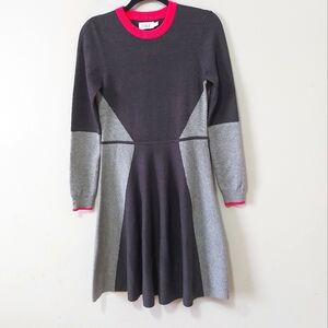 Eliza J Sweater Dress Size Small A-line Long Sleeve Colorblock Knit Stretch Mid